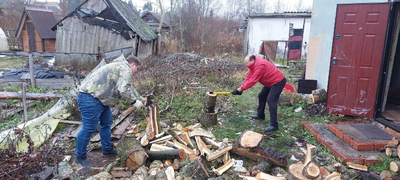 Фото: Комитет по молодёжной политике Ленобласти - в vk