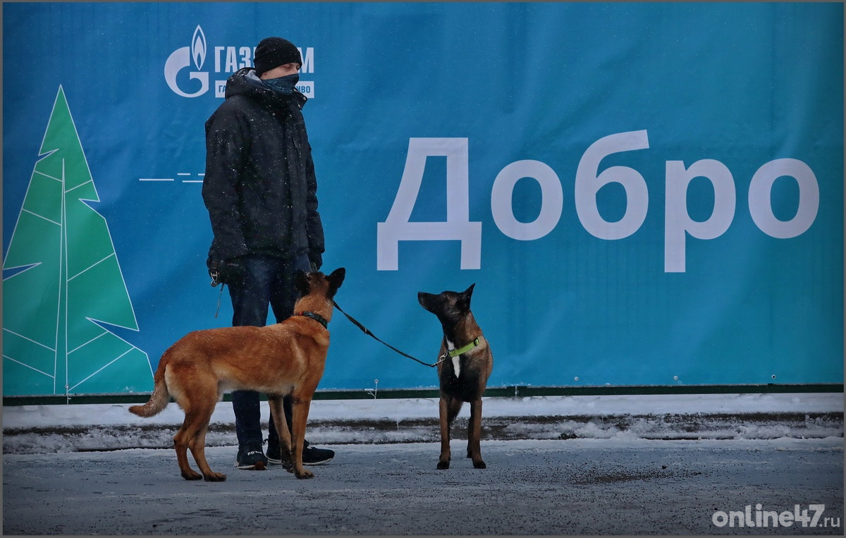 Всеволожский район. Открытие автомобильной газонаполнительной компрессорной станции (АГНКС) «Газпром»